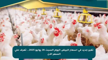 تغير جديد في أسعار البيض اليوم السبت 26 يوليو 2025.. تعرف على السعر الآن